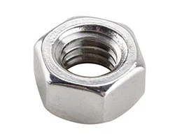 Stainless Steel 317_317L Nuts